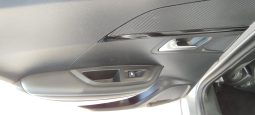 Peugeot e-2008 completo