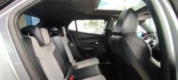 Peugeot e-2008 completo