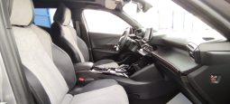 Peugeot e-2008 completo
