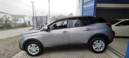 Peugeot 3008 completo