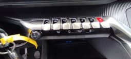 Peugeot 3008 completo