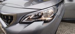 Peugeot 3008 completo