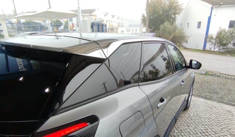 Peugeot 3008 completo