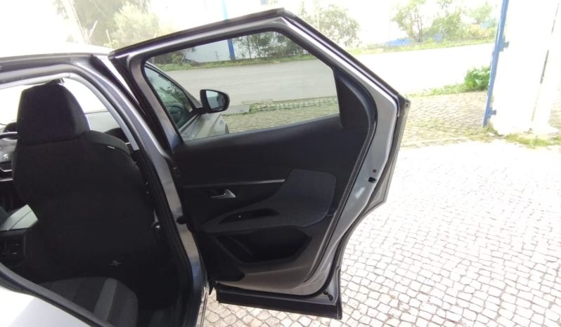 Peugeot 3008 completo