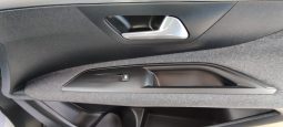 Peugeot 3008 completo