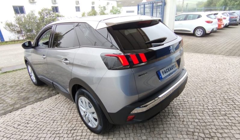 Peugeot 3008 completo