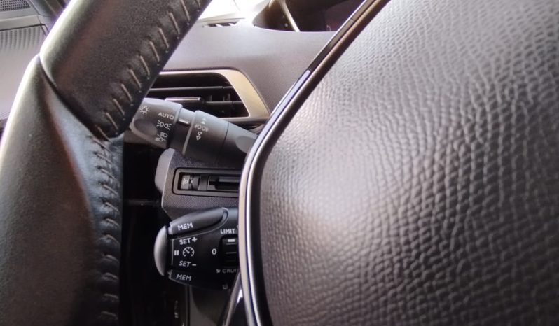 Peugeot 3008 completo