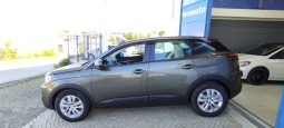 Peugeot 3008 completo
