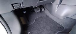 Nissan Leaf NOVO completo