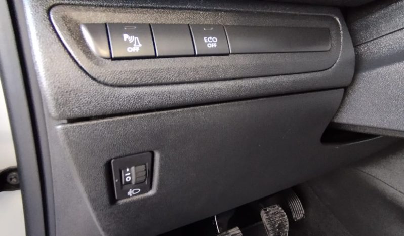 Peugeot 2008 completo