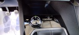 Peugeot 5008 completo