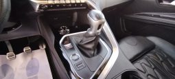 Peugeot 5008 completo