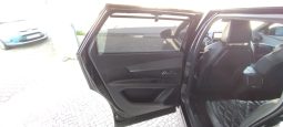 Peugeot 5008 completo