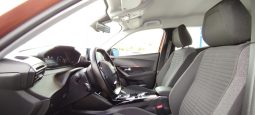 Peugeot e-2008 completo