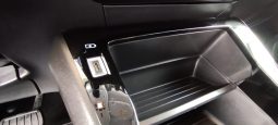 Peugeot e-2008 completo