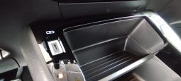 Peugeot e-208 completo