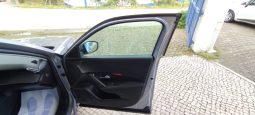 Peugeot e-2008 completo