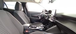 Peugeot e-2008 completo