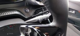 Peugeot e-208 completo