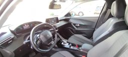 Peugeot e-2008 completo