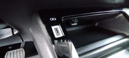 Peugeot e-2008 completo