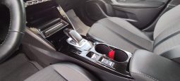 Peugeot e-2008 completo