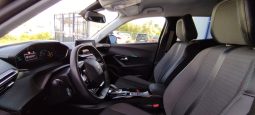 Peugeot e-2008 completo