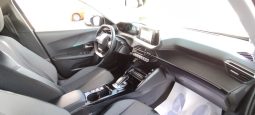 Peugeot e-2008 completo
