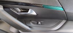 Peugeot e-2008 completo