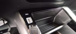 Peugeot e-208 completo